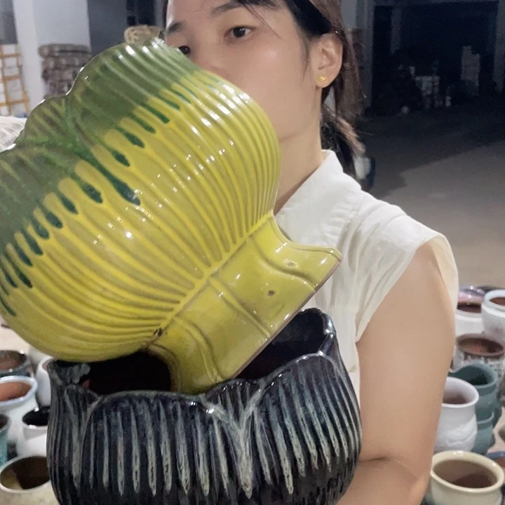 正品两个20/20处理