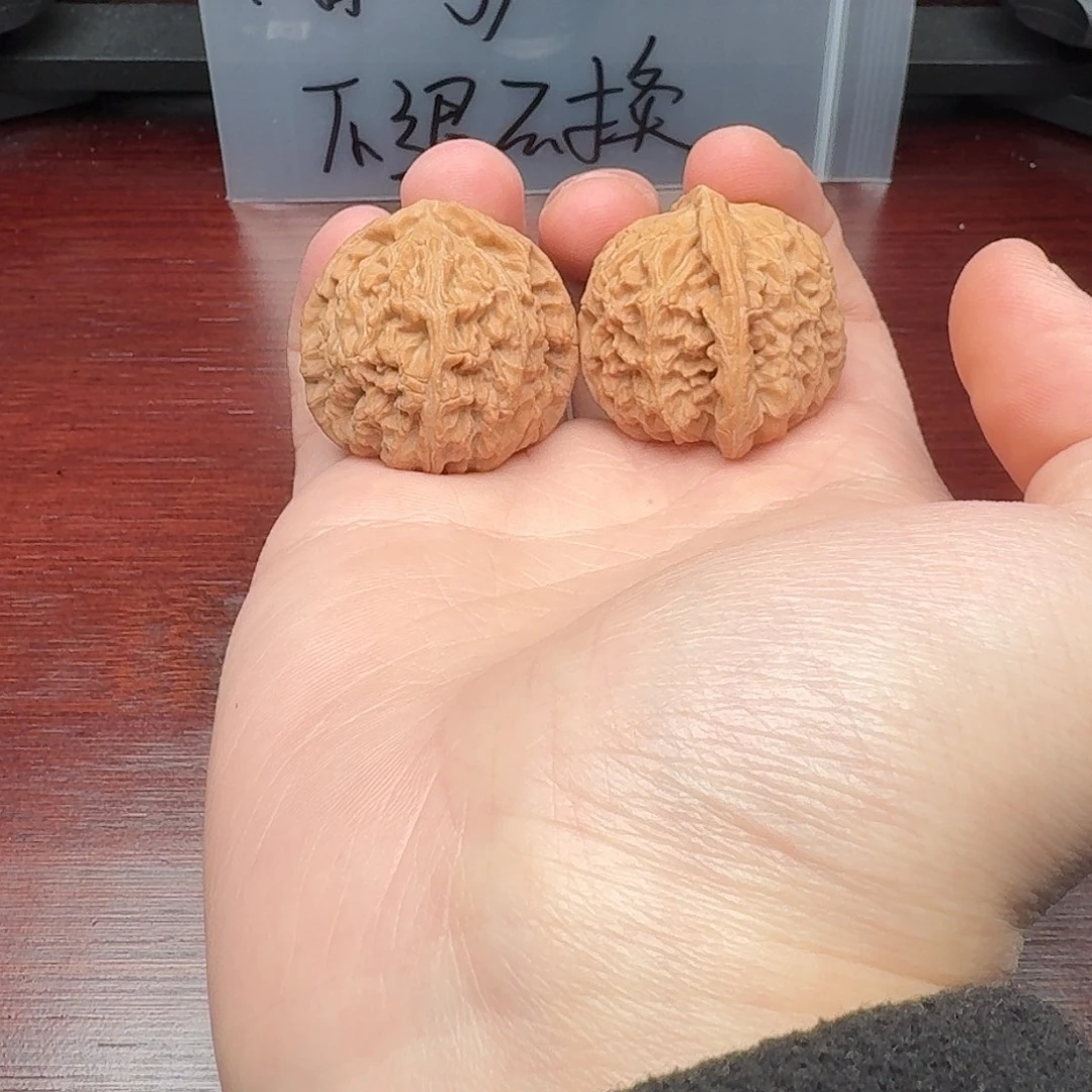 白狮子不退不换哈哈哈