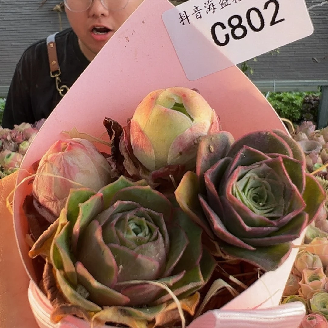 C802。 冰激淋花束。 福利