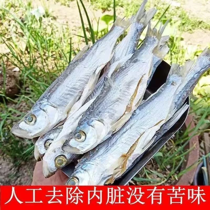 野生翘嘴刁子鱼干去内脏