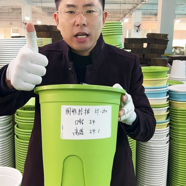 正品圆控口24高24果绿8只无托