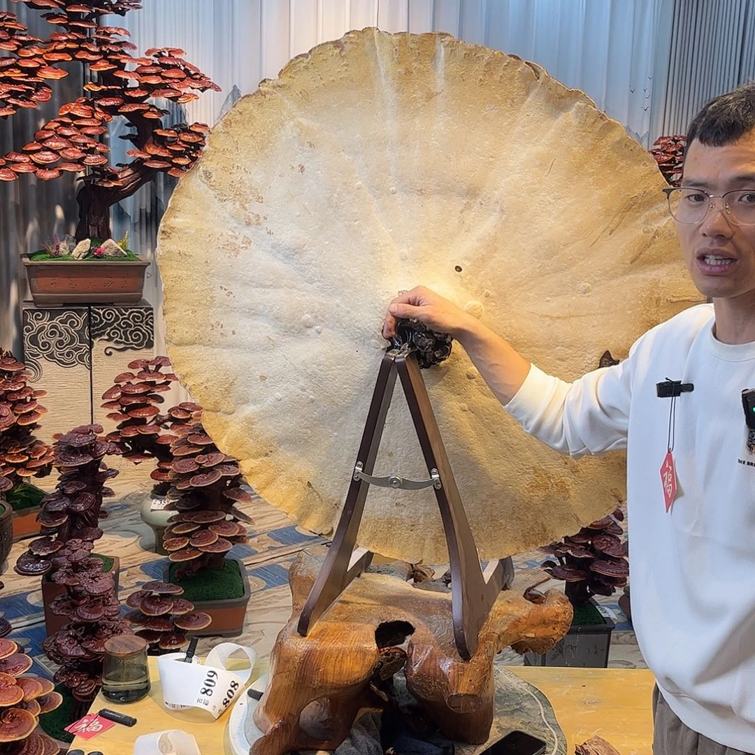 无花朵888888888888