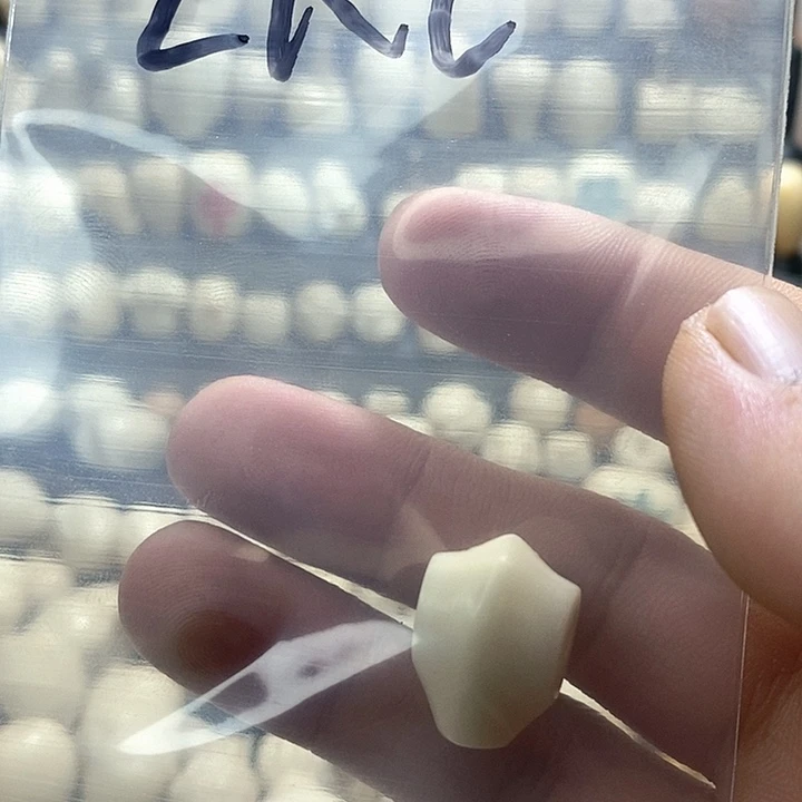 L***L菩提根/象牙果吊坠