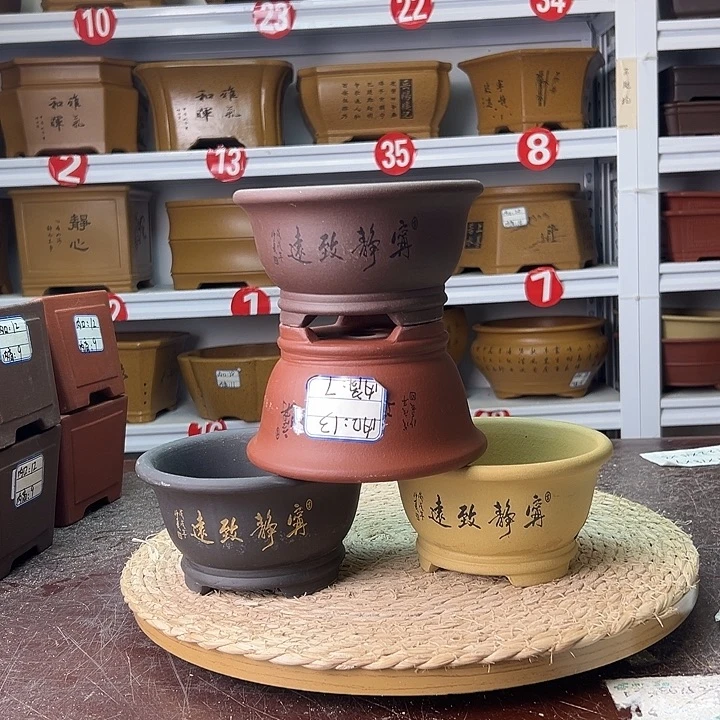 紫砂花盆蛇年大吉
