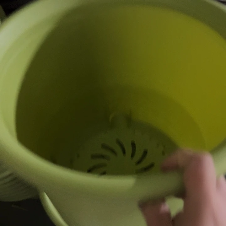 四季6号果绿无托7个