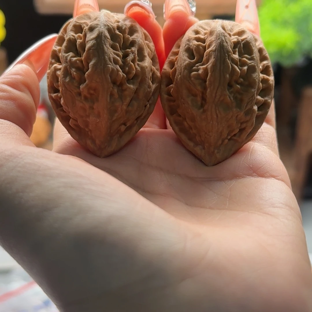 文玩核桃把件楸百核41