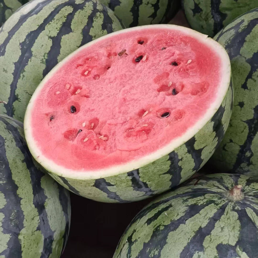 新鲜四川麒麟西瓜（一颗9斤左右）四川省