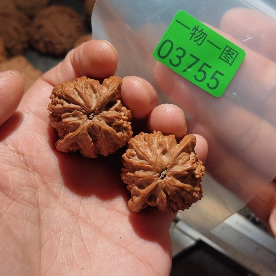 文玩核桃把件野鸡