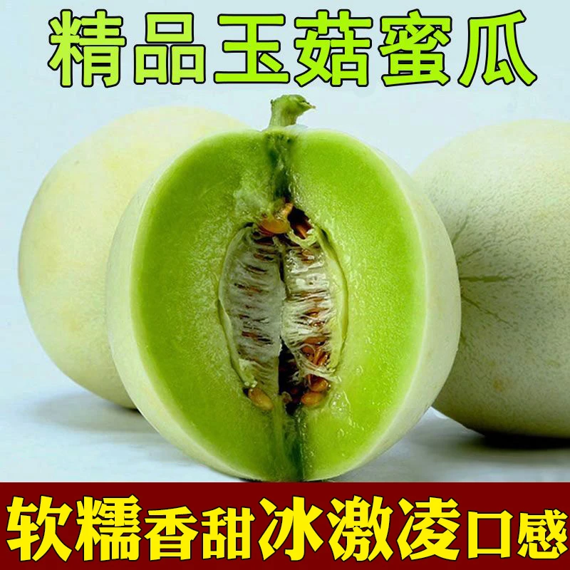 山东冰激凌玉菇甜瓜玉茹蜜瓜甜瓜香瓜应季当季新鲜水果4.5/9斤