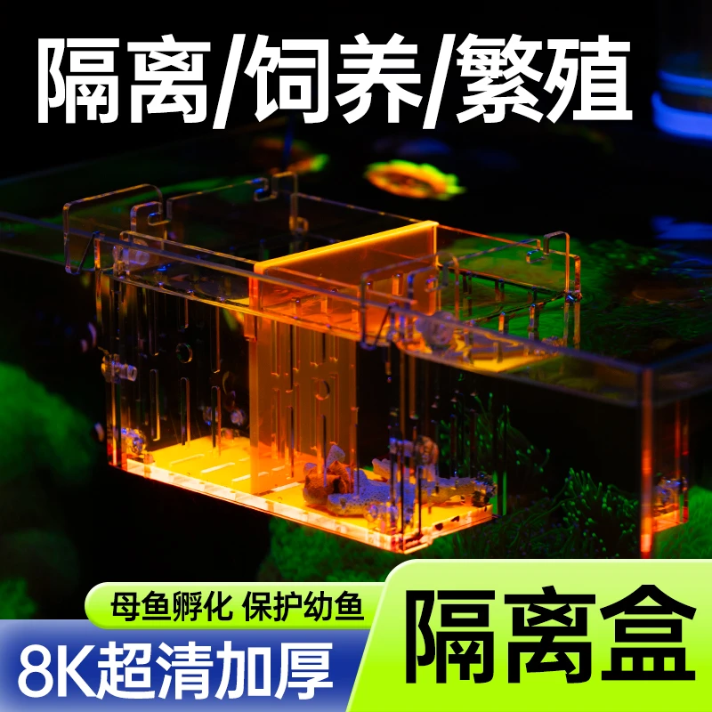 荧光鱼缸隔离盒加厚亚克力小鱼繁殖盒珊瑚海葵小丑鱼孵化盒海缸