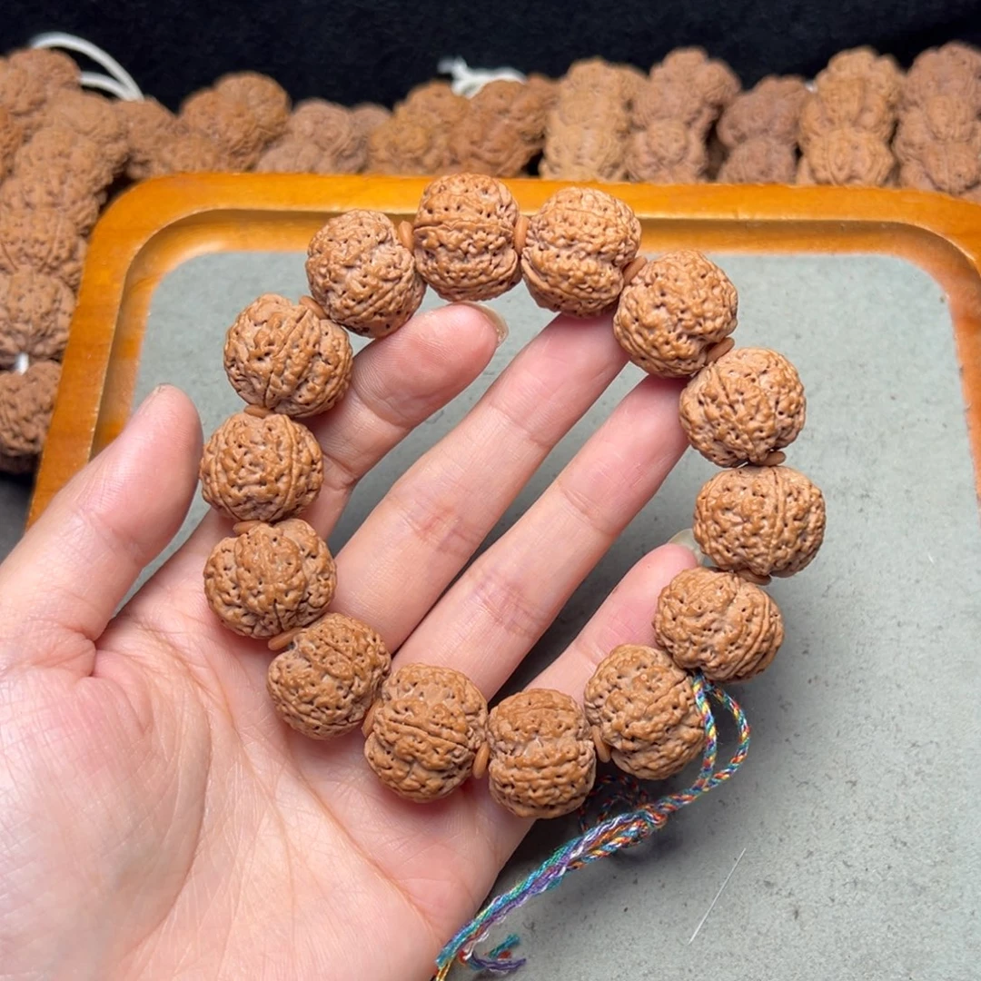 菩提25号金刚菩提蜂王20.+