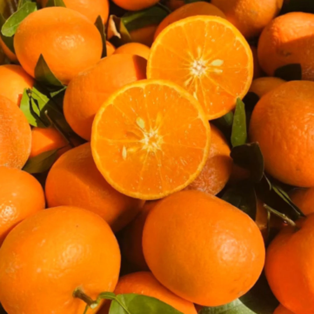 云南沃柑当季新鲜水果皮薄多汁香甜柑橘采摘5斤整箱