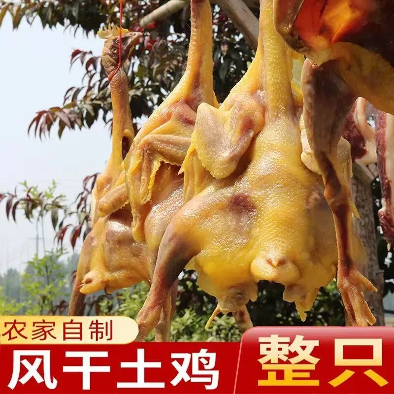 整只农家散养正宗跑山鸡风干鸡年货鸡