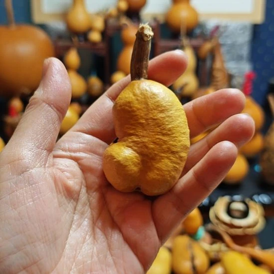 瑾***若直播间链接葫芦葫芦