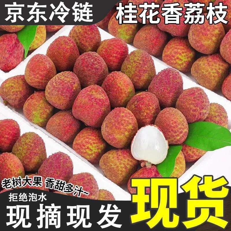 京东冷链包邮桂花香荔枝新鲜当季水果荔枝新鲜采摘新鲜发货包邮