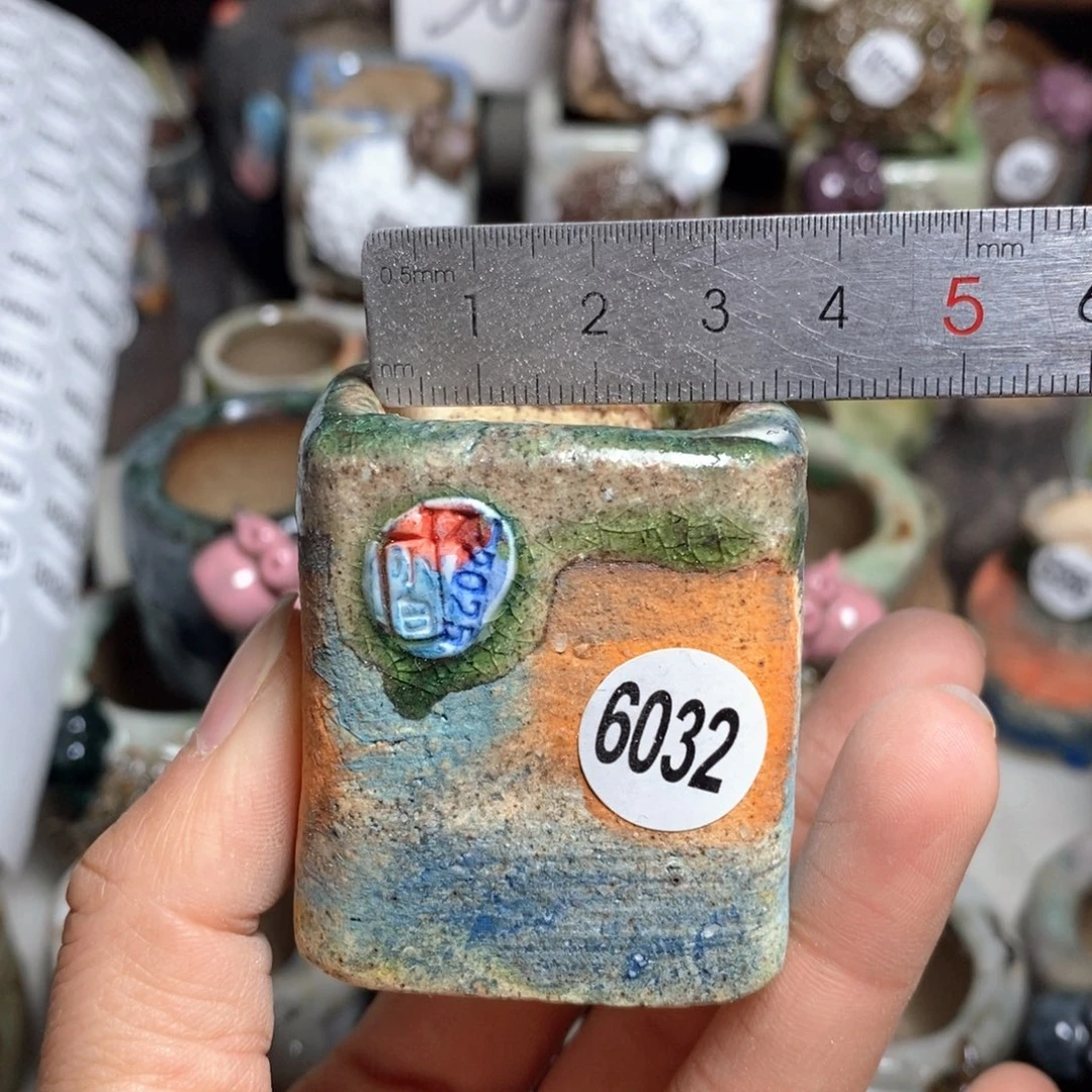 拍3送一个小礼物