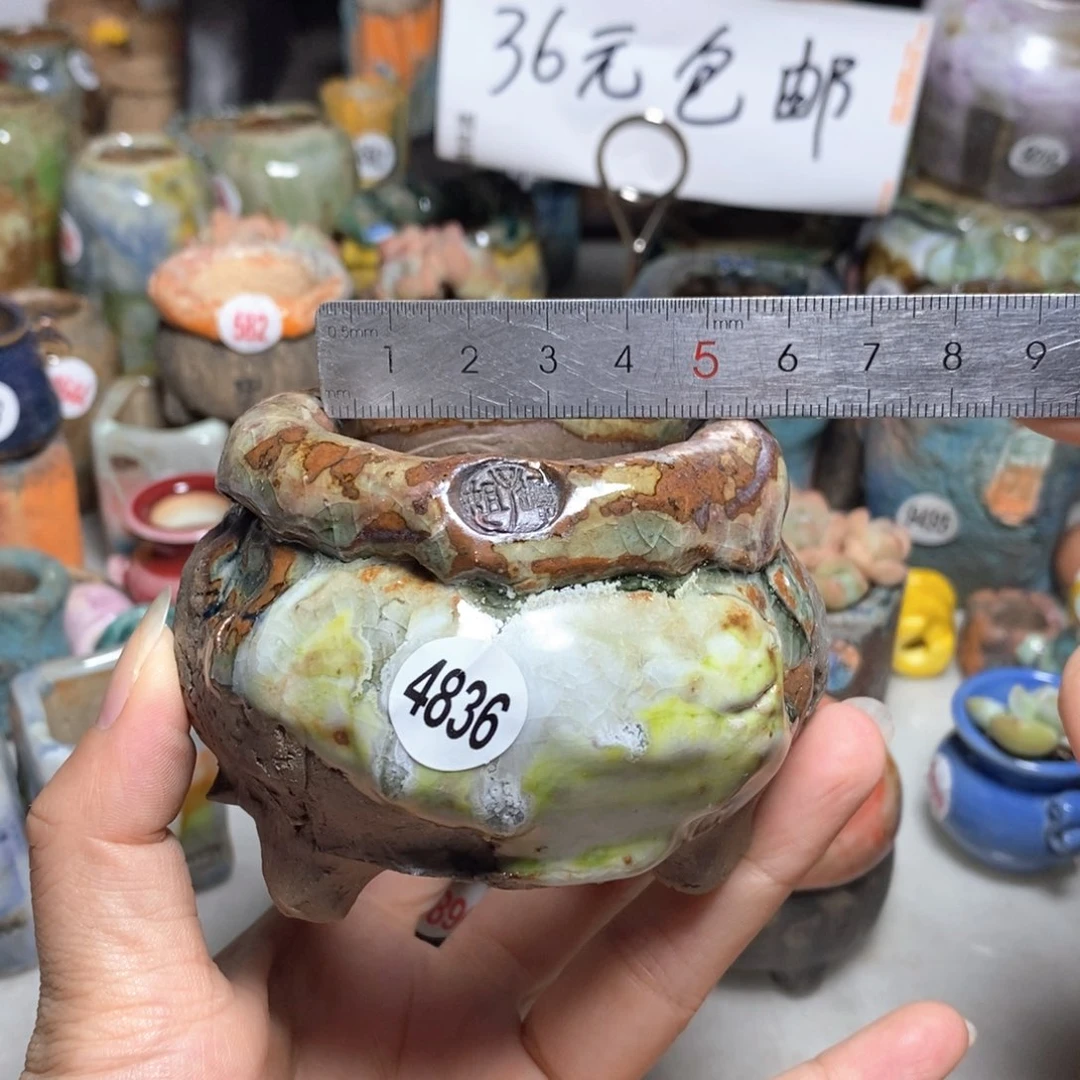 拍3送一个小礼物
