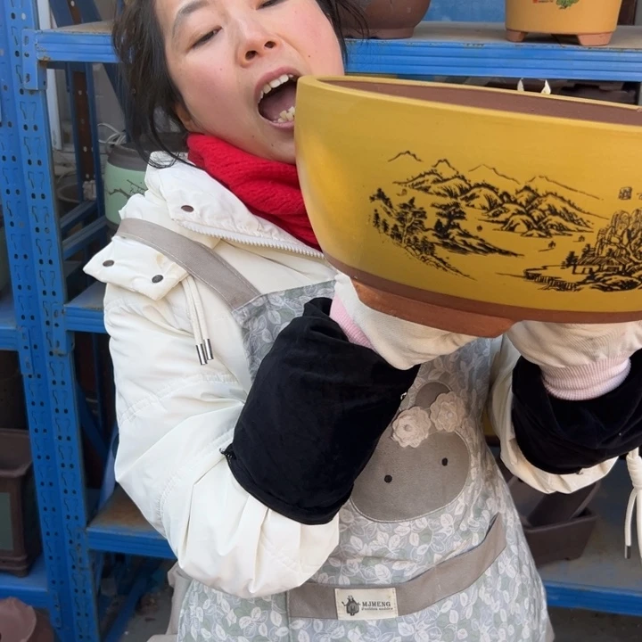 黄色江山如画中一个花盆花盆