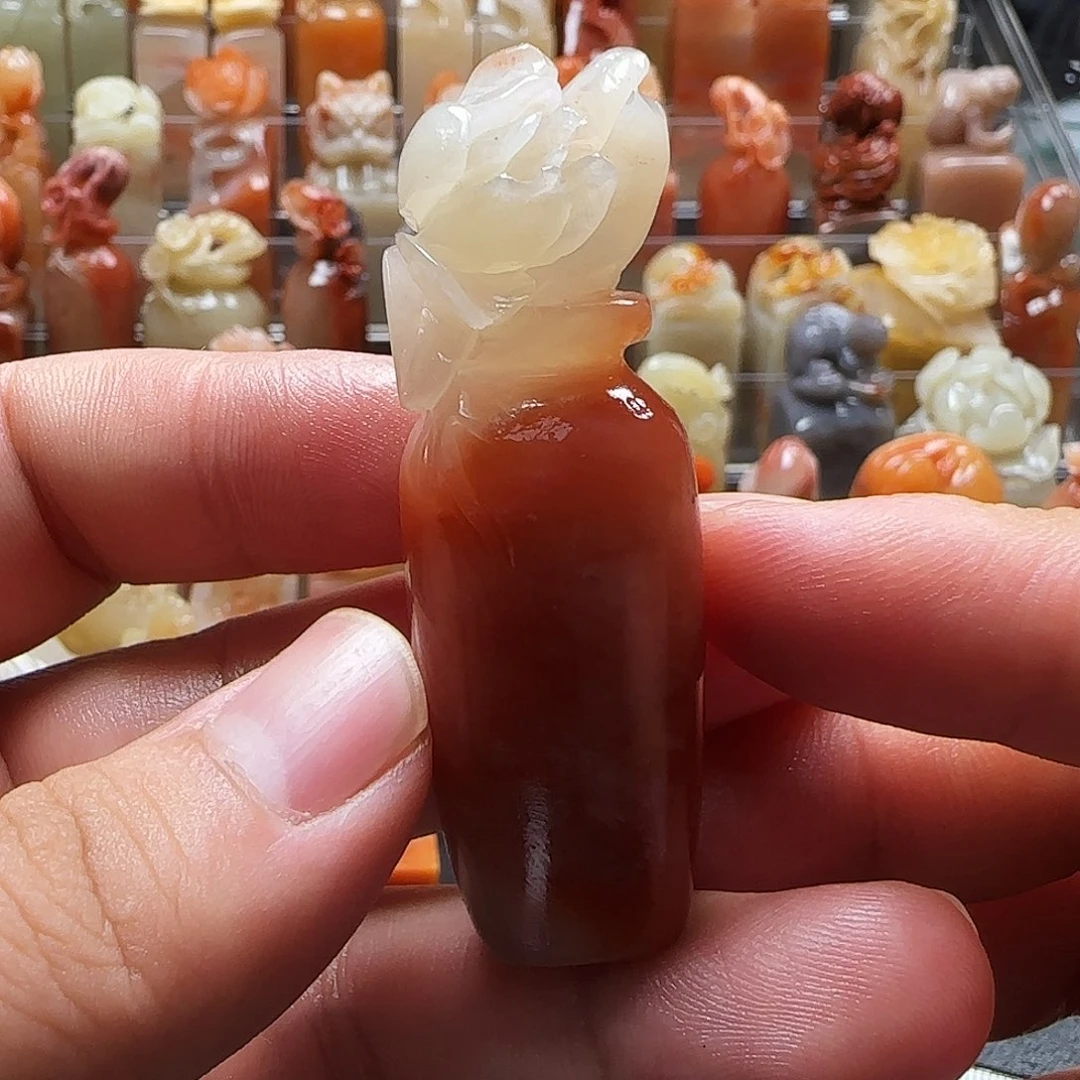 老挝石玉兰