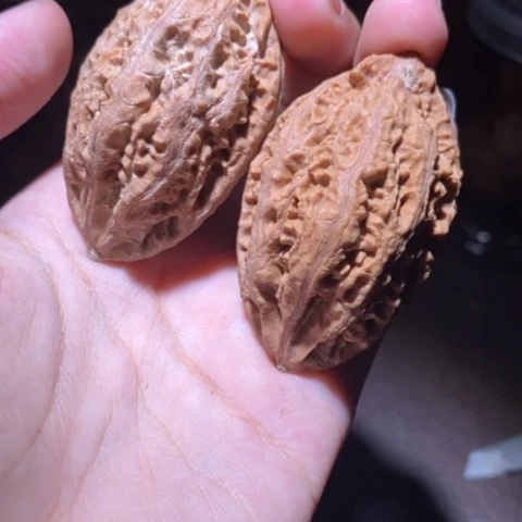 把件文玩核桃东北野生楸子小园 202