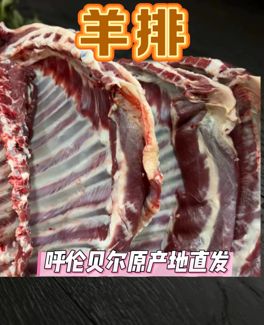 【羊排】呼伦贝尔天然牧场肉质鲜嫩不膻顺丰包邮速达