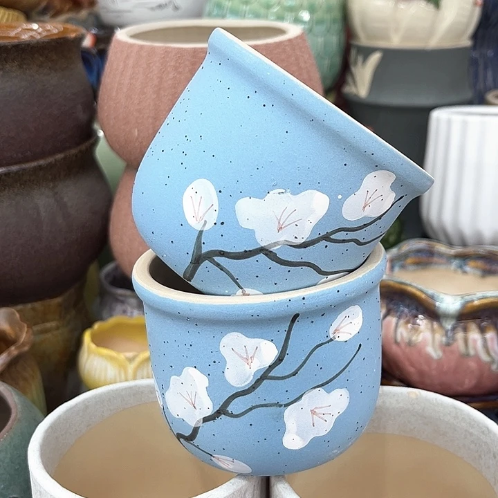 多肉植物花盆9.99包邮