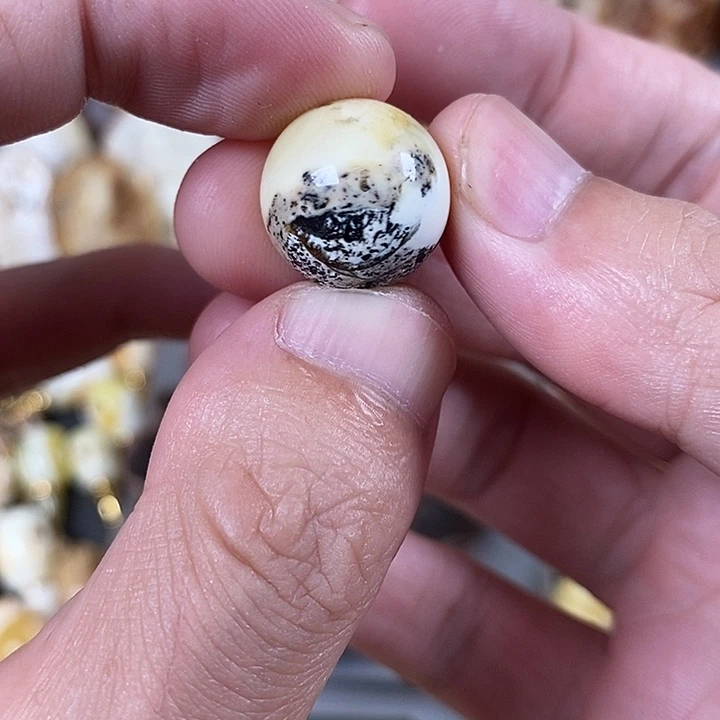 裸石琥珀未镶嵌我