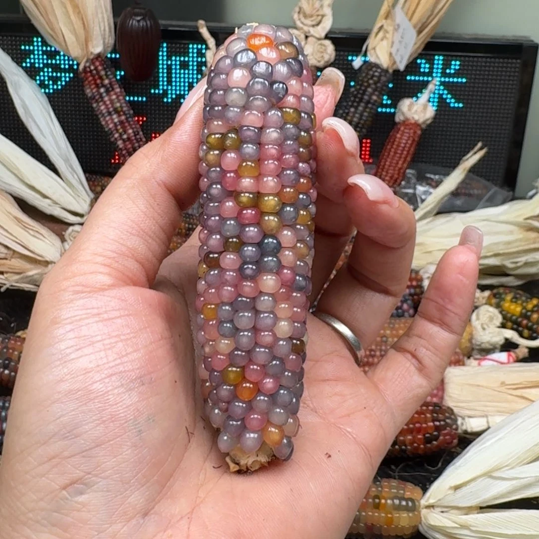 柏香籽/百香籽吊坠J****n