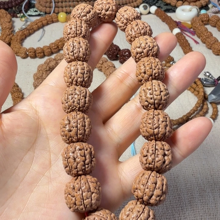 手串金刚菩提雷龙六瓣