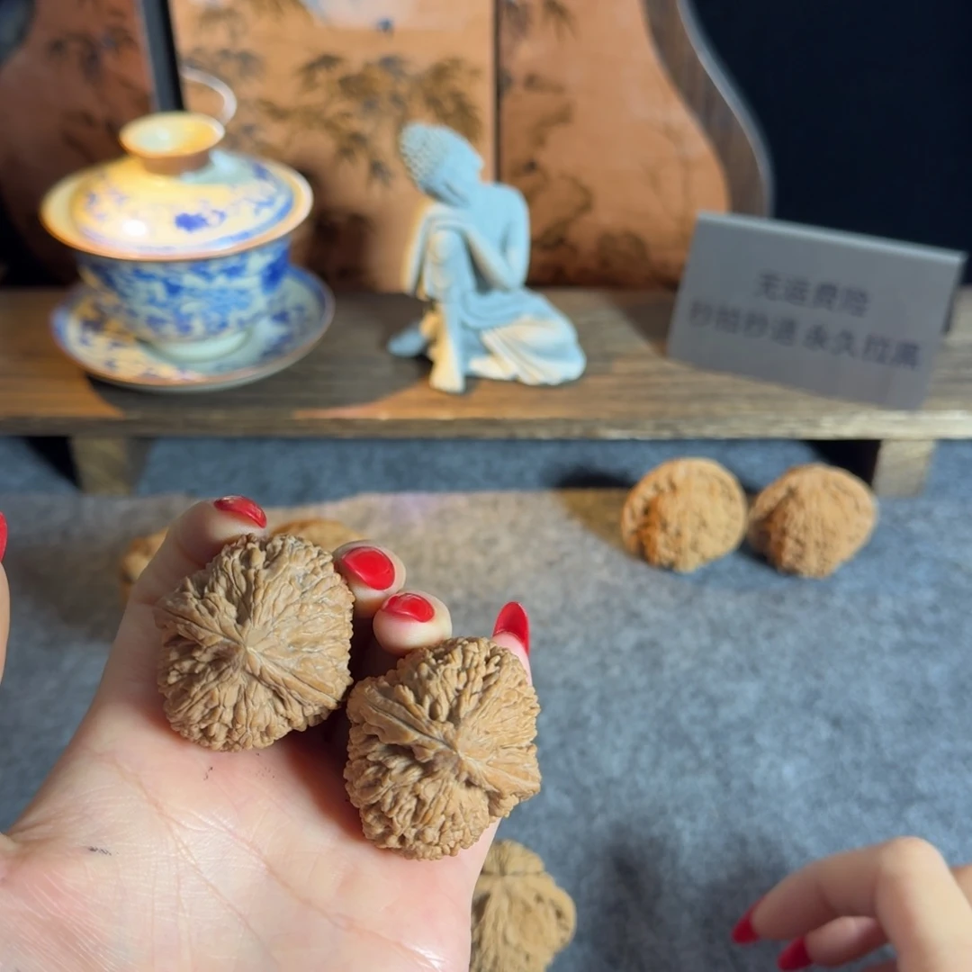 全品37.5红皮大蒜头白茬骨质好
