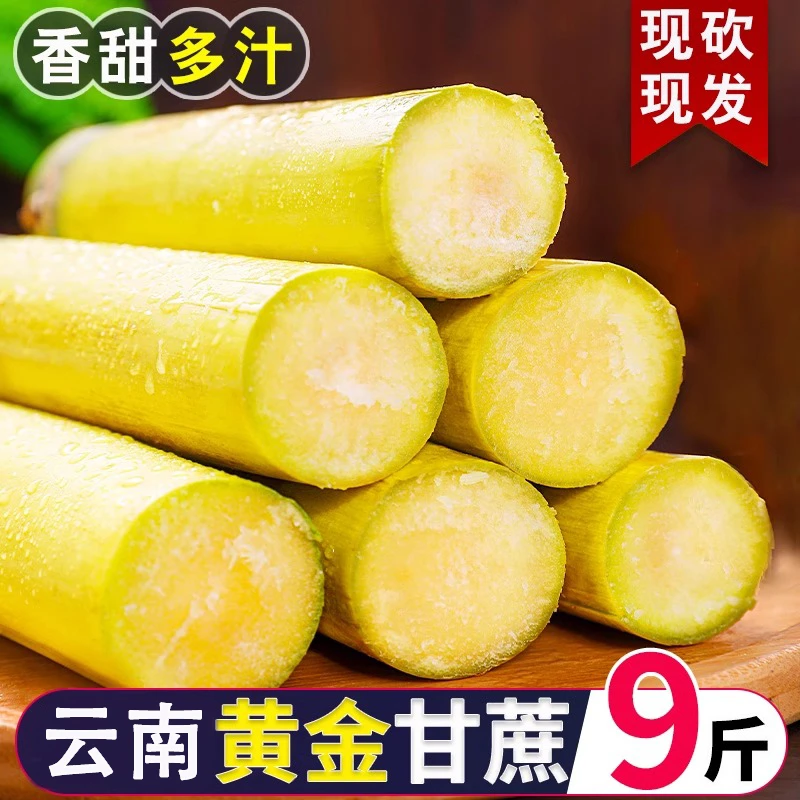 正宗云南特产黄金甘蔗整箱应季新鲜水果当季榨汁脆甜爆甜黄皮甘蔗