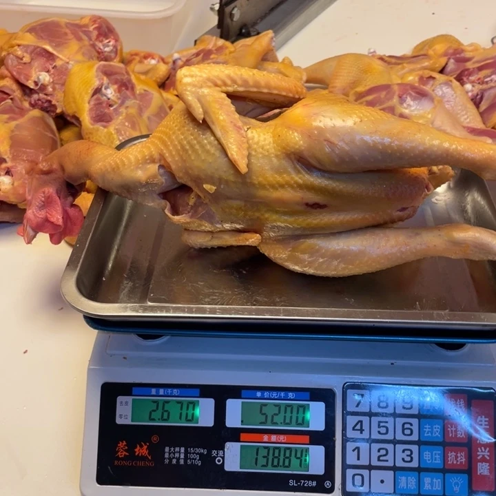 低温冷冻60天中国大陆食用农产品整鸡