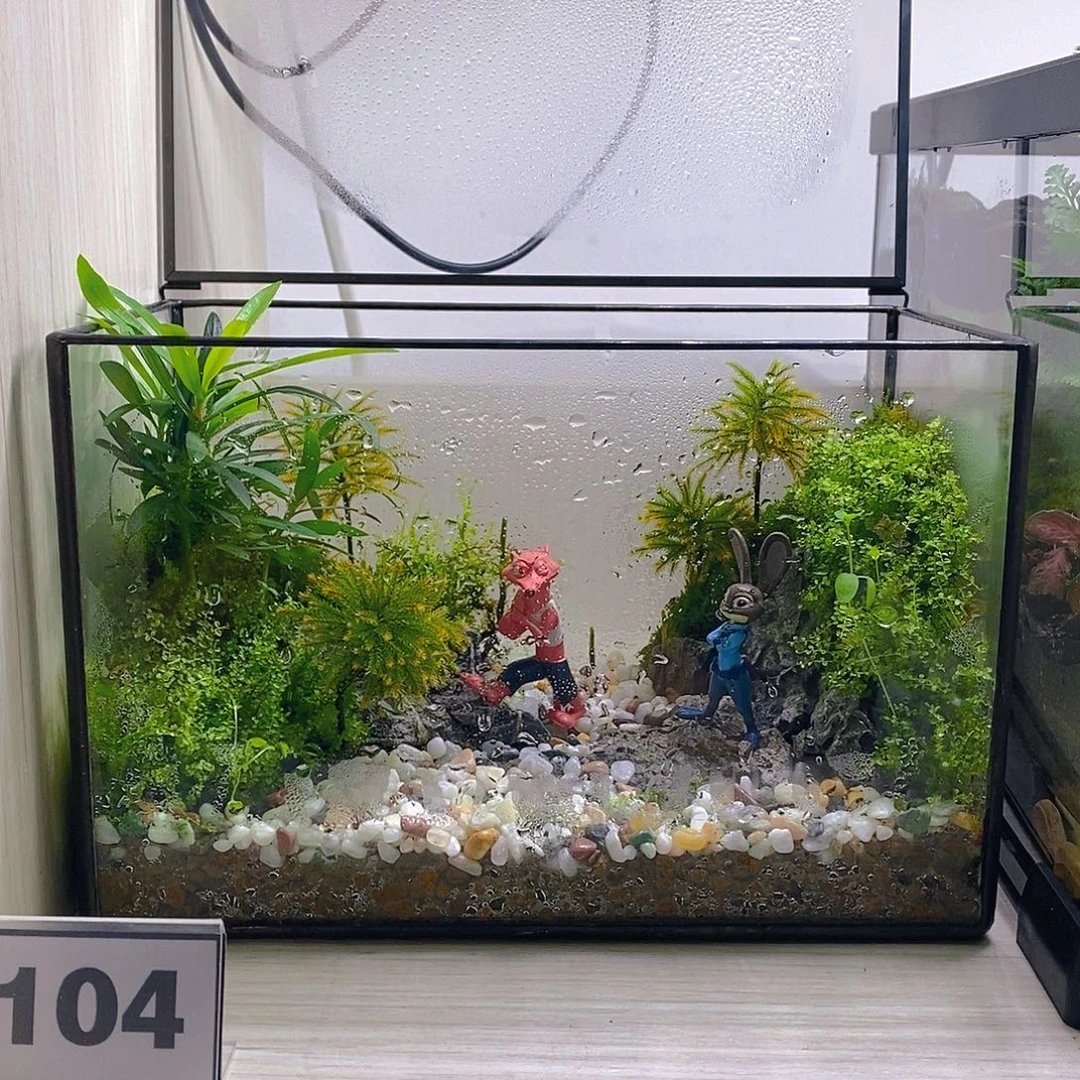 无花朵瑕疵款玻璃花房