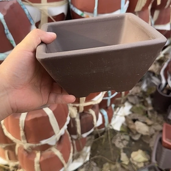 是一个不知名作家与著名导演兼电影演员们之间互相