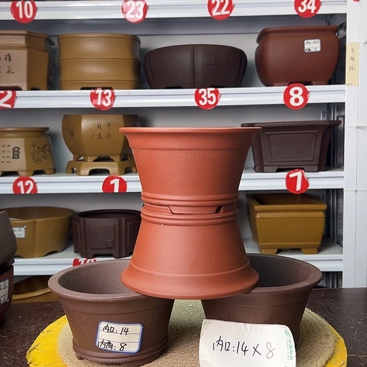 花盆紫砂你在一起