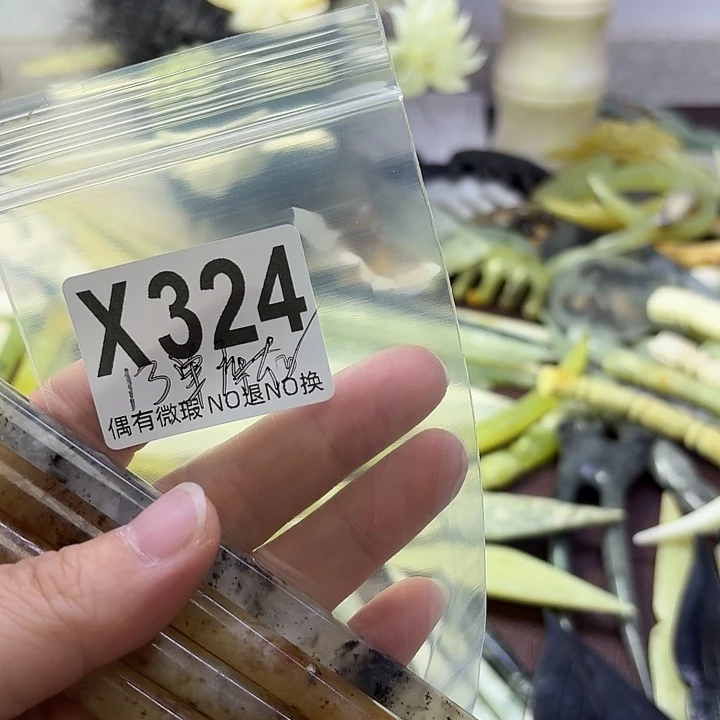 蛇纹石玉合金发饰傻*晴