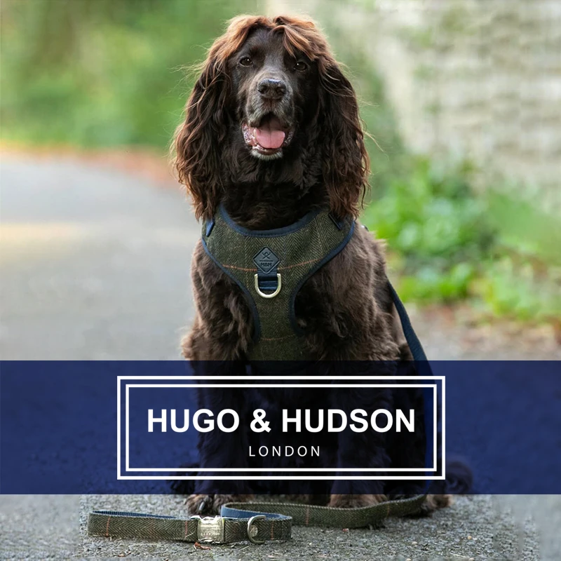 Hugo&Hudson狗狗宠物毛呢牵引绳胸背项圈三合一工字型英伦轻户外