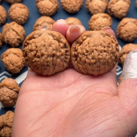 橄榄核手串/手链大*莲花38