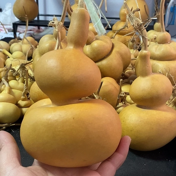 富**作葫芦的颜色是蓝色的