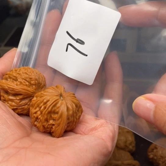 桃核吊坠p**g76磨盘狮子头