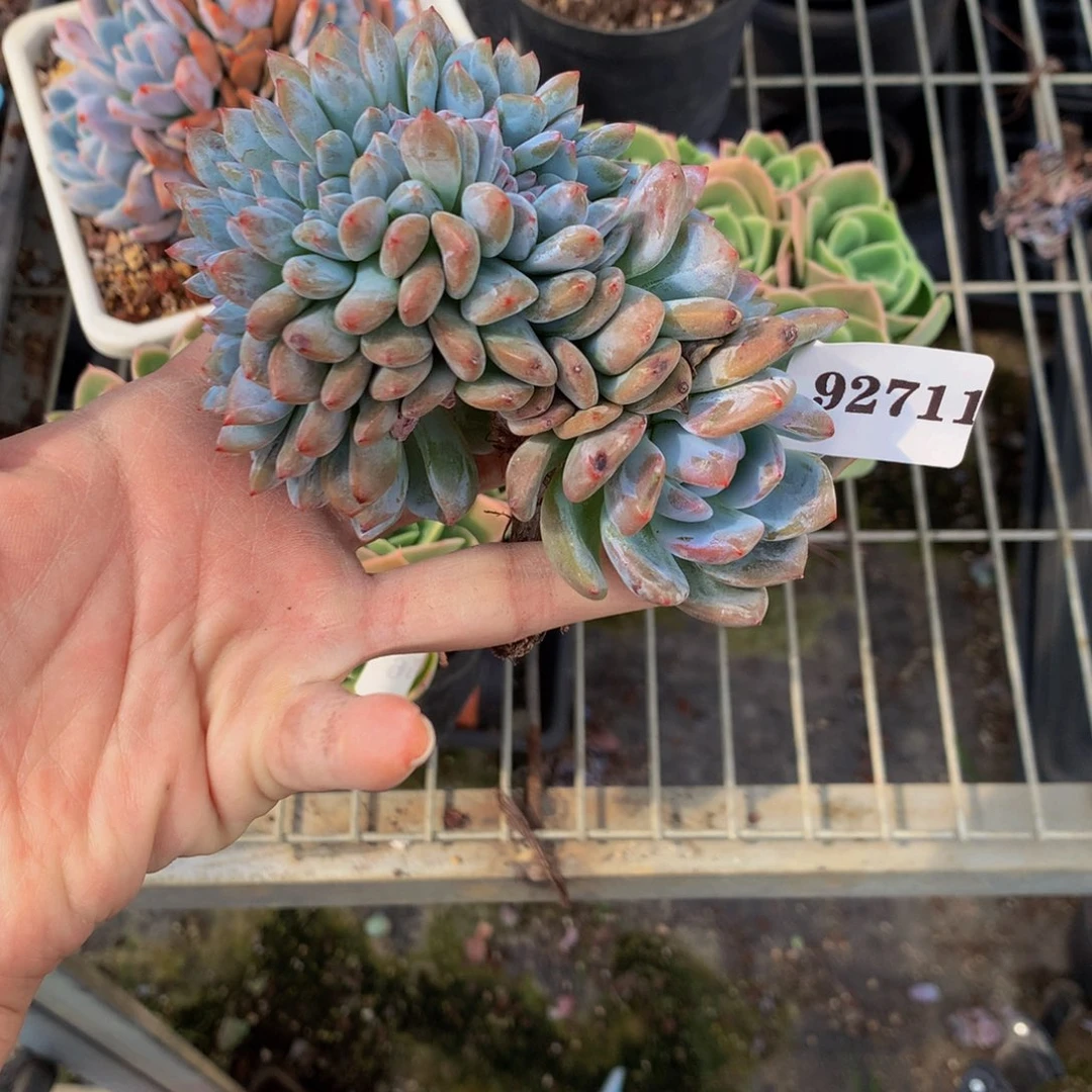ᥫ***溪92711缀嗯嗯嗯嗯嗯嗯嗯好喜欢