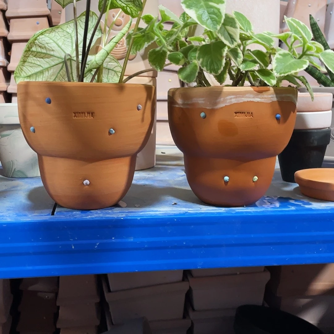 口14×13      红陶陶粒发2   不含绿植！