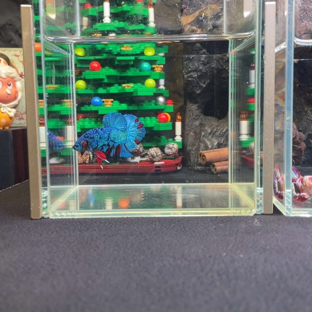 斗鱼鱼次元竞价一月四日竞价