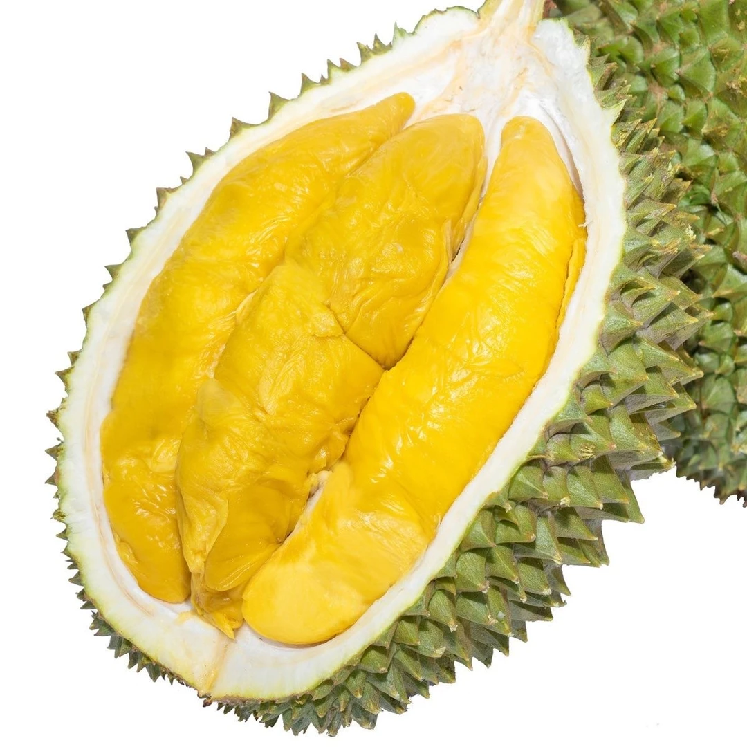 【树熟青尼榴莲 】4.5-5斤/1颗  鲜榴莲 整果发货 果型饱满