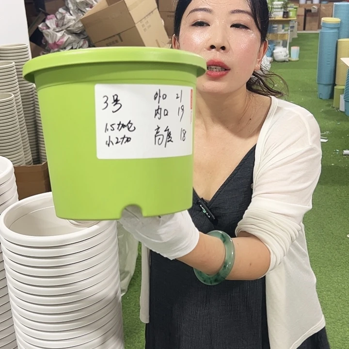 特价3号四季口21高18白色10只无托