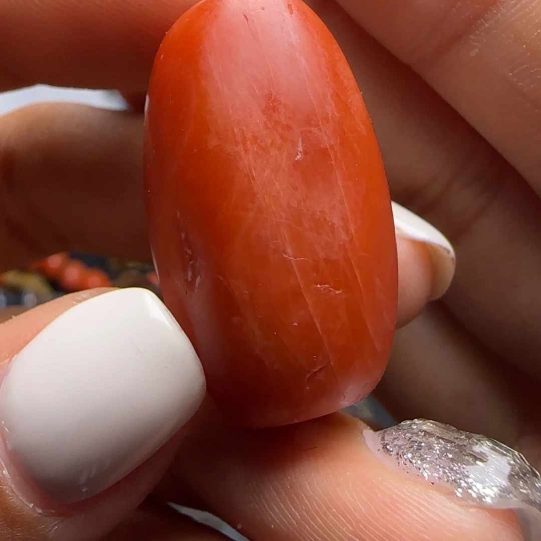 闪购商品23号链接…..