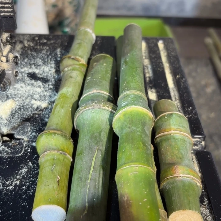 竹笑**开实心竹竹竹竹竹竹竹竹