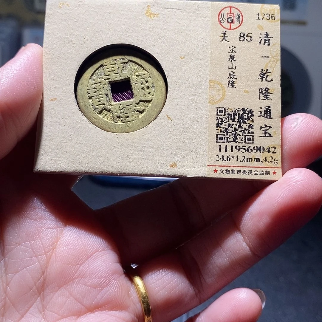 贝壳20 恭喜发财恭喜发财
