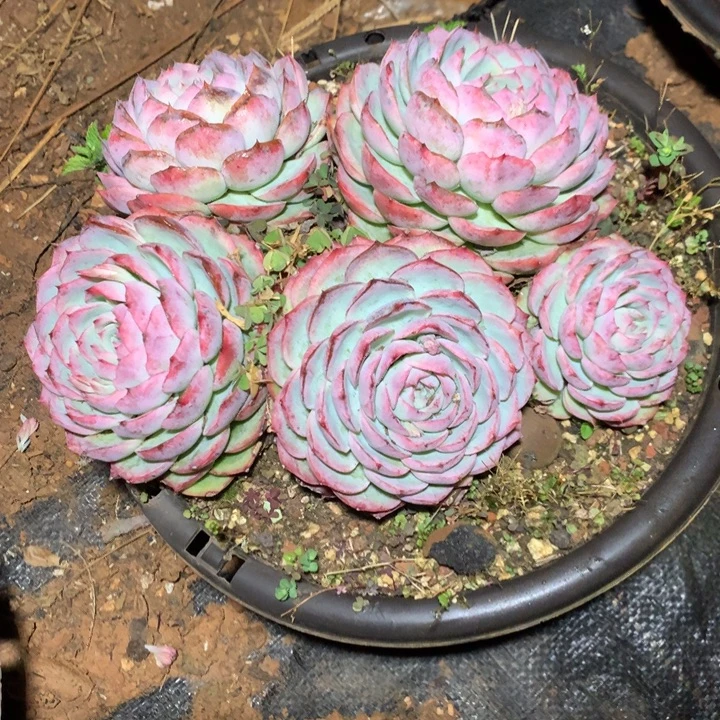 水***姐特价处理不售后的