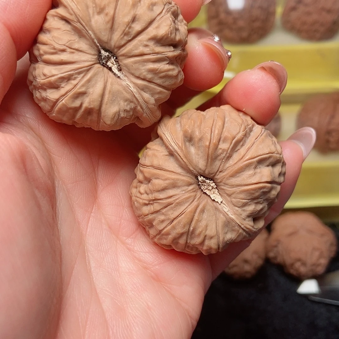 大叶紫檀（黑酸枝木类）南瓜